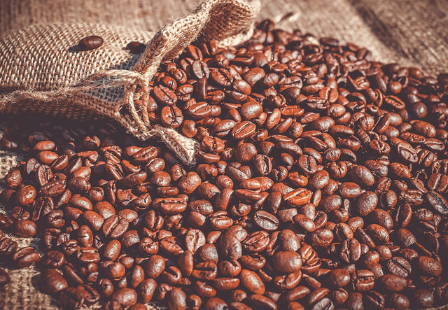 From Bean to Brew: How is Coffee Made?