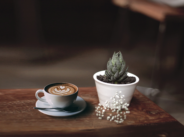 Best Coffee Shops in Edinburgh