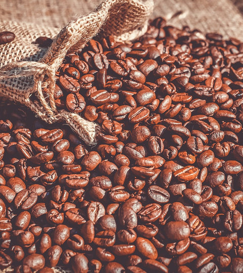 From Bean to Brew: How is Coffee Made?