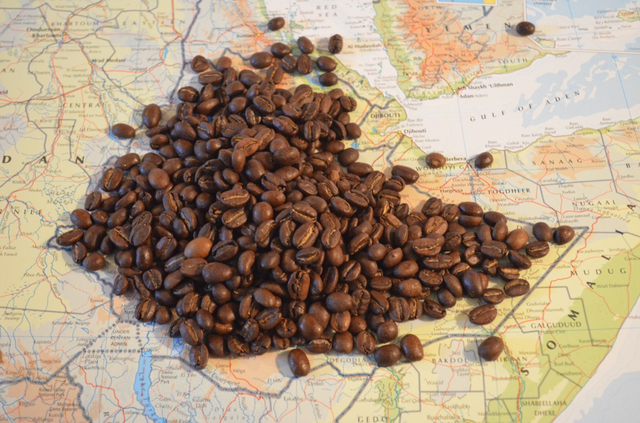 History of Coffee Around the World